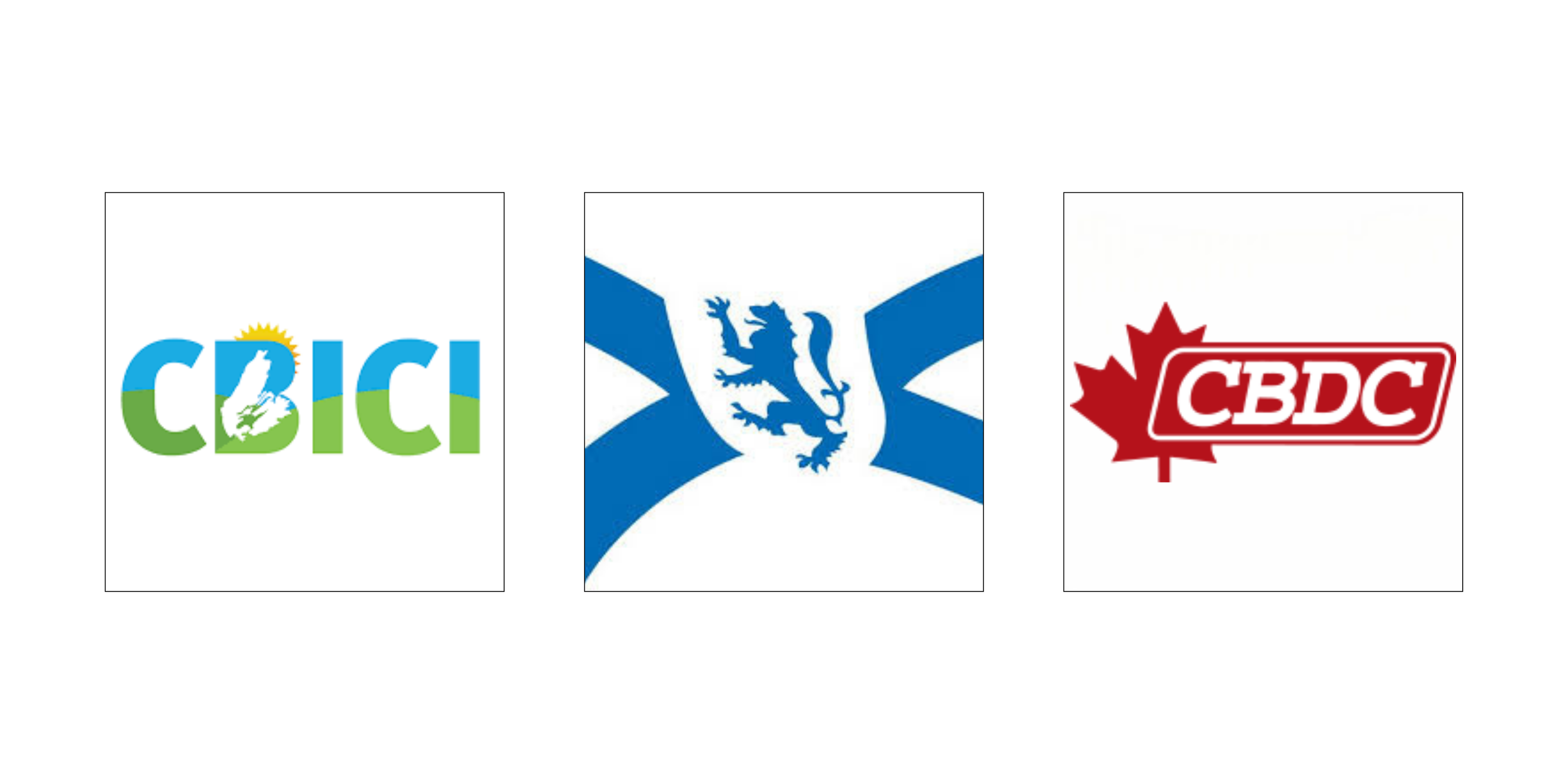 LOGOS OF CBICI, NS government and CBDC